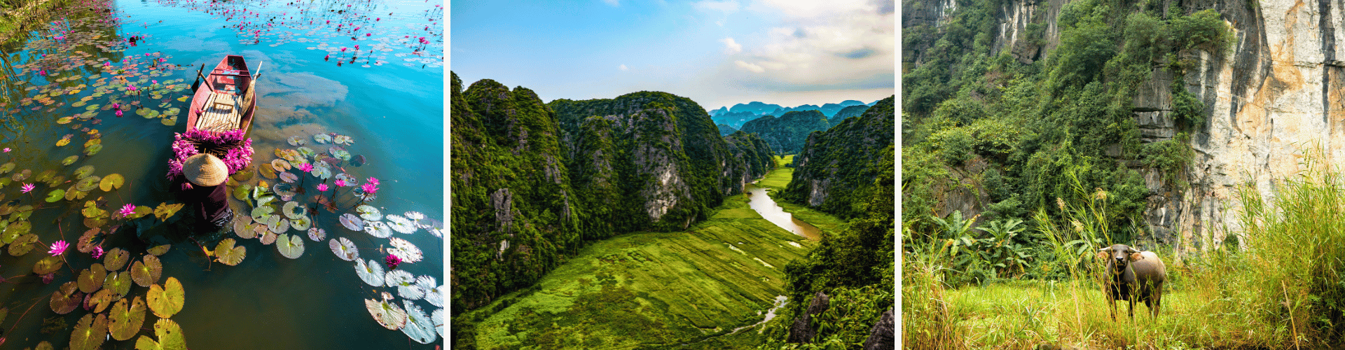 NWS - Day 9 NWS Day 9 WOLO Travel